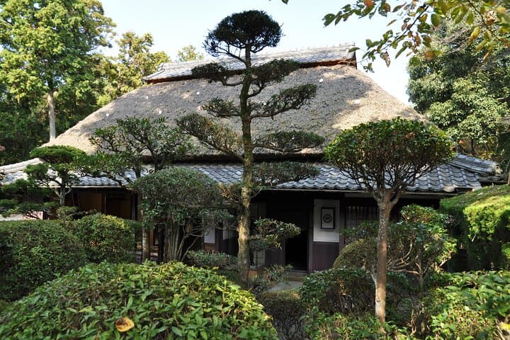 Southern Kyoto and Mie Iga Sightseeing and Rail Pass 1 Day Ticket — photo 4