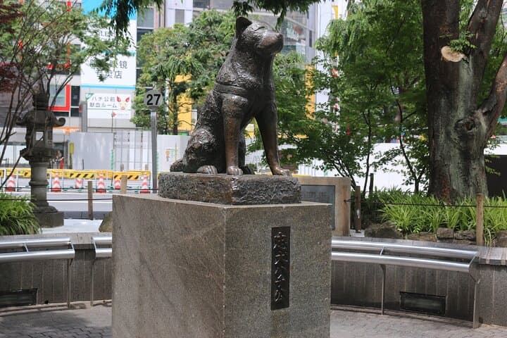 Shibuya Highlights Walking City Tour — photo 4