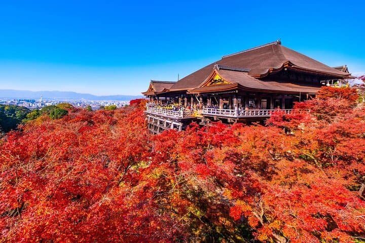 Sagano Train and Kiyomizu Dera Temple Day Tour Osaka — photo 11