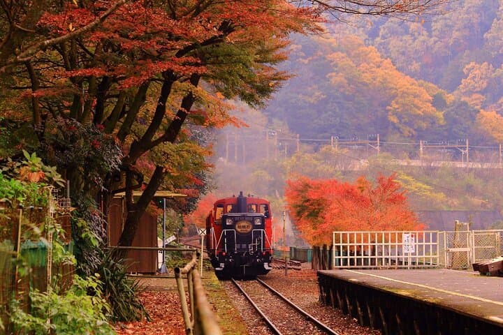 Sagano Train and Kiyomizu Dera Temple Day Tour Osaka — photo 13