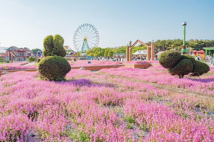 Spring Hitachi Seaside & Ashikaga Flower Park Tour from Tokyo — photo 10