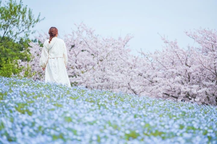 Spring Hitachi Seaside & Ashikaga Flower Park Tour from Tokyo — photo 7