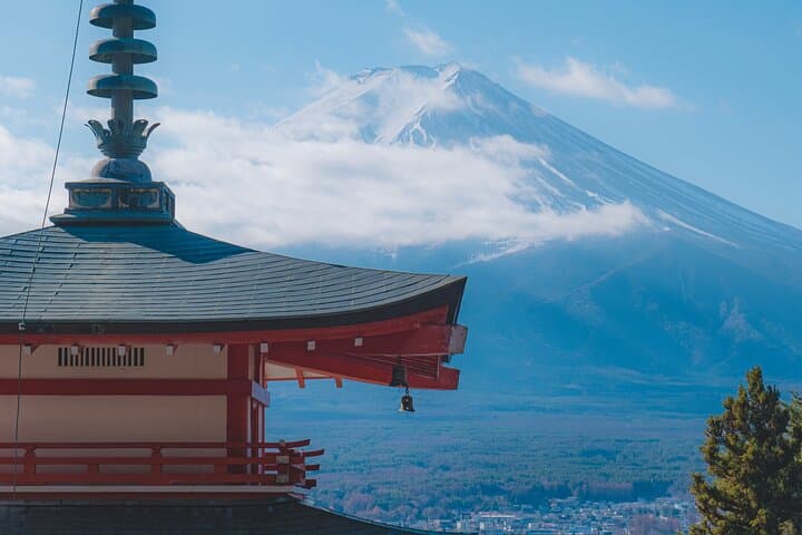 Mount Fuji Kawagoe and Hikawa Shrine Day Trip — photo 3