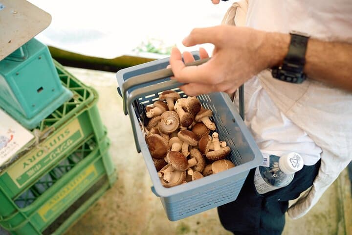 Private Rural Cycling & Farm BBQ Experience near Narita Airport — photo 7