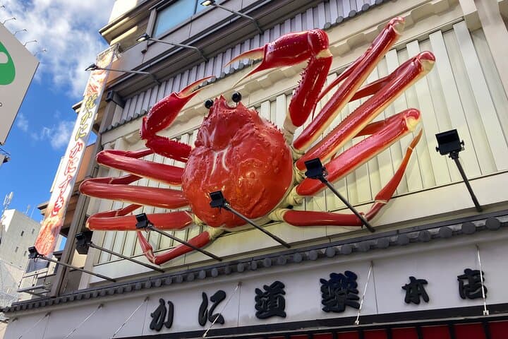 Private Walking Tour in Osaka's Kuromon Market and Dotonbori — photo 7
