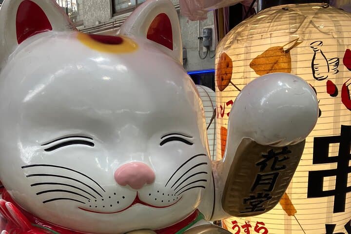 Private Walking Tour in Osaka's Kuromon Market and Dotonbori — photo 12