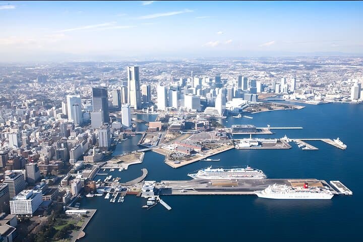 Yokohama/Tokyo Port Drop-off: Disney Ticket & Private Tour — photo 10