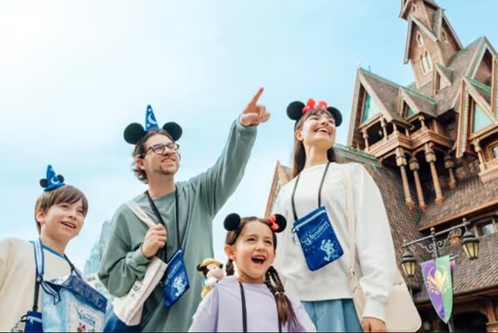 Tokyo Disneyland/DisneySea: Private Transfer To/From Tokyo Hotels — photo 17