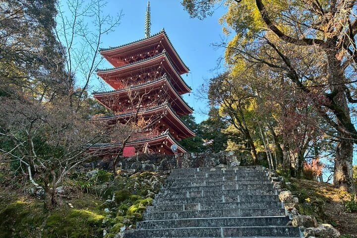 Private Zen Sutra Copying Experience at Chikurin-ji Temple — photo 2