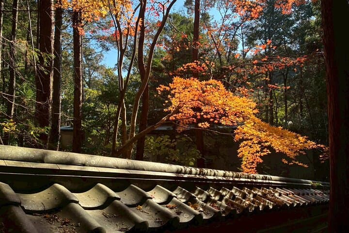 Private Zen Sutra Copying Experience at Chikurin-ji Temple — photo 18