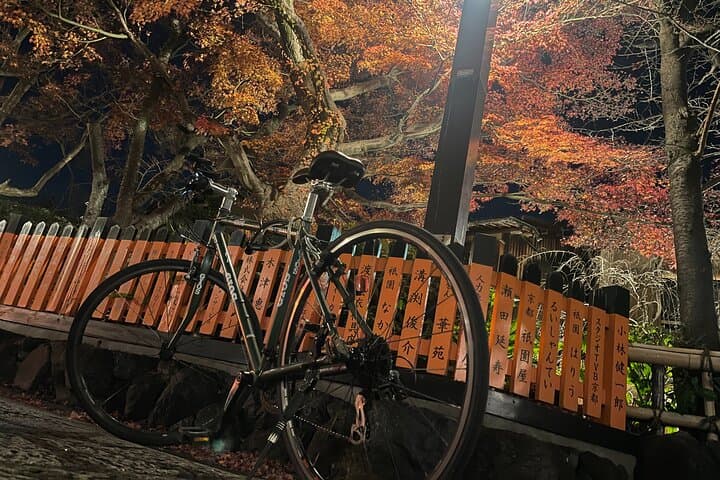 eBike Tour‐Tokyo Odyssey: From Geisha Roots to Sumo & Neon Future — photo 7