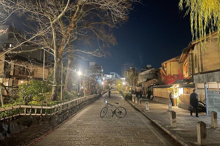 eBike Tour‐Tokyo Odyssey: From Geisha Roots to Sumo & Neon Future — photo 3