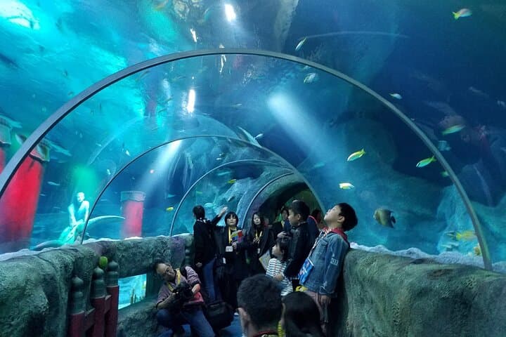 SEA LIFE Nagoya Ticket — photo 4