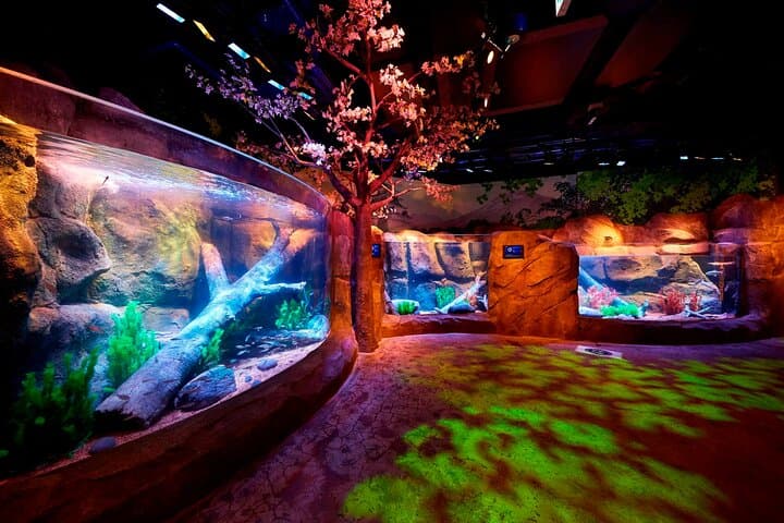 SEA LIFE Nagoya Ticket — photo 3