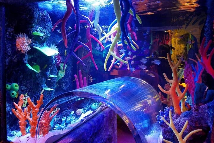 SEA LIFE Nagoya Ticket — photo 5