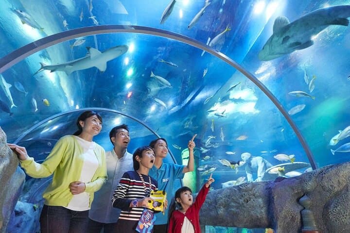 SEA LIFE Nagoya Ticket — photo 7