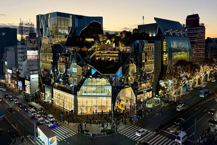 Private Curated Tour | Get Tokyo’s Must Sees & Unique Insights — photo 15