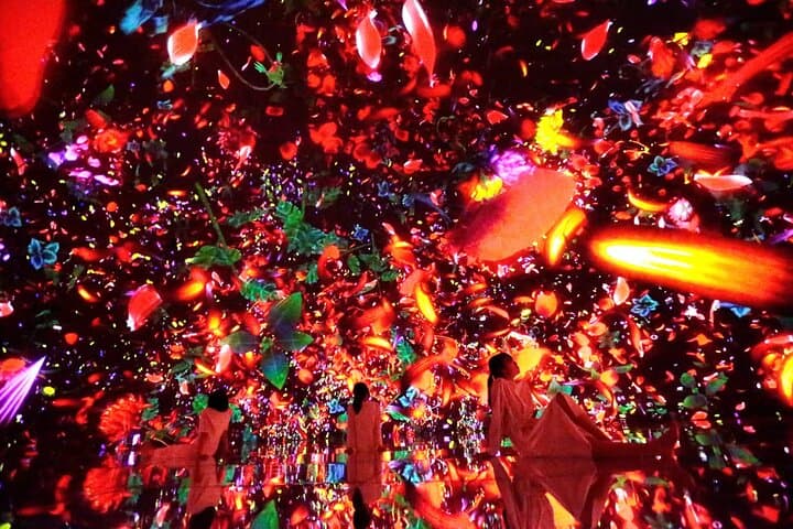 Team Lab Planets Tokyo Timed Entry Admission Ticket — photo 3