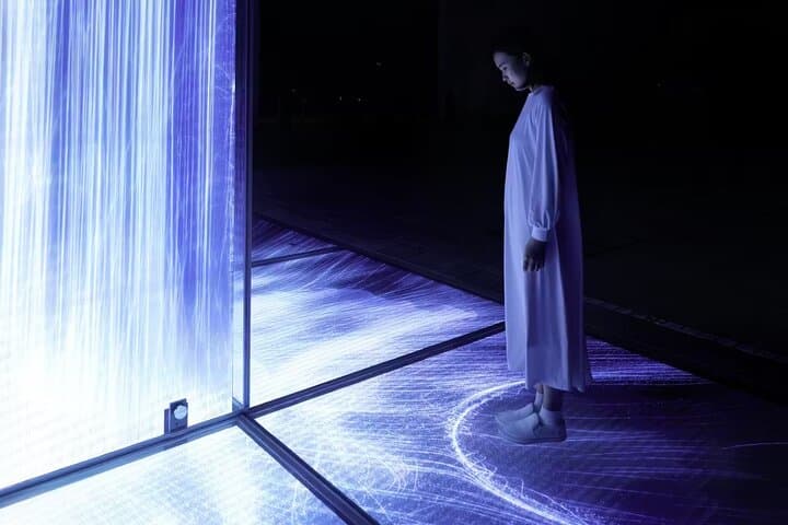 Team Lab Planets Tokyo Timed Entry Admission Ticket — photo 6