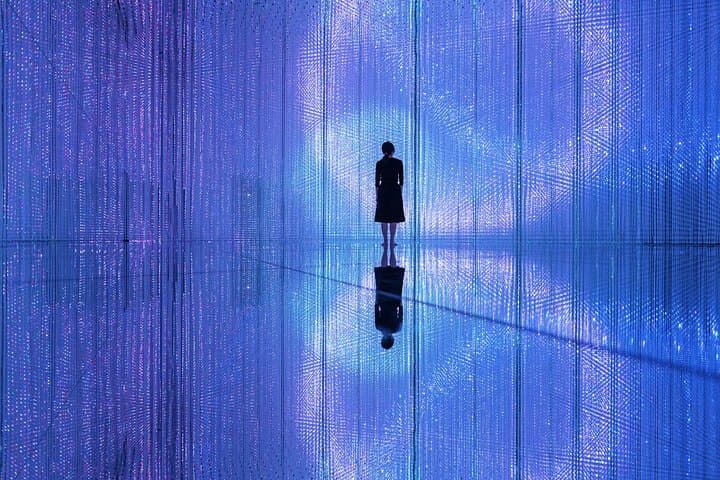 Team Lab Planets Tokyo Timed Entry Admission Ticket — photo 4