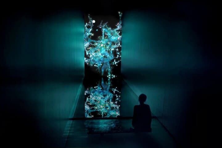 Team Lab Planets Tokyo Timed Entry Admission Ticket — photo 8