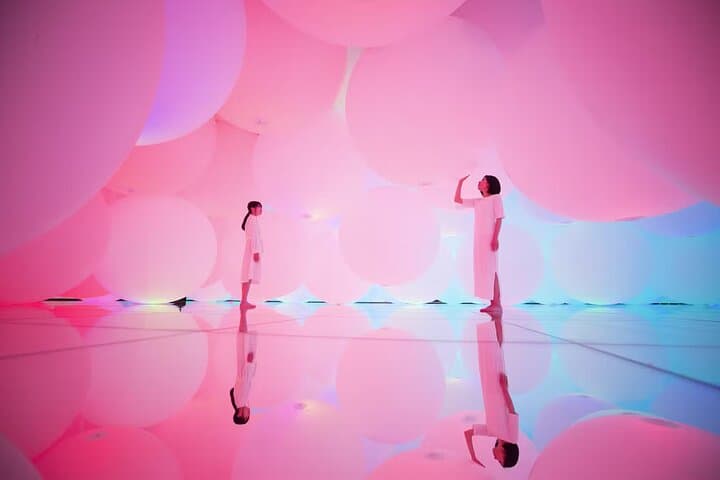 Team Lab Planets Tokyo Timed Entry Admission Ticket — photo 2