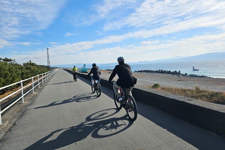 Mount Fuji Scenic EBike Tour for Cruise Travelers — photo 2