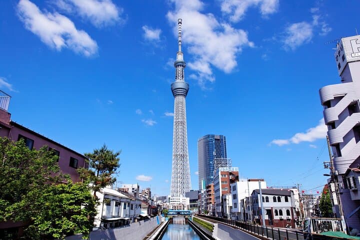 Osaka to Tokyo Multi Day Tour — photo 7