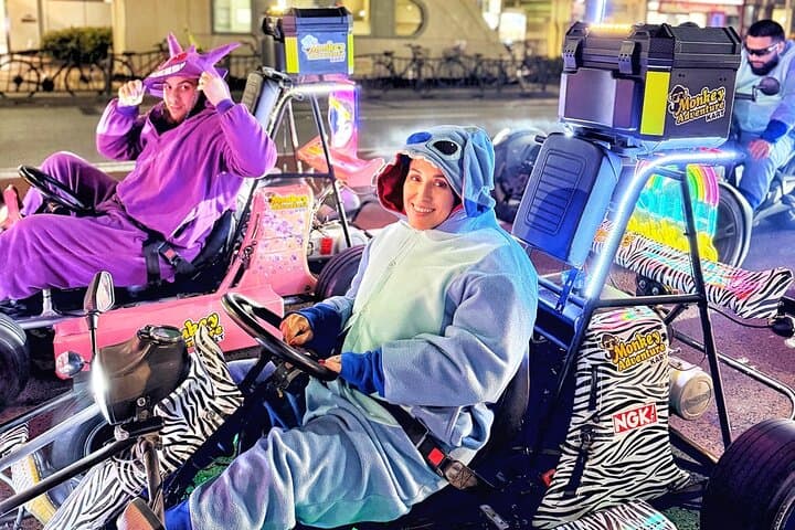 Tokyo Go Kart: Asakusa, Skytree, and Akihabara **IDP MUST** — photo 11