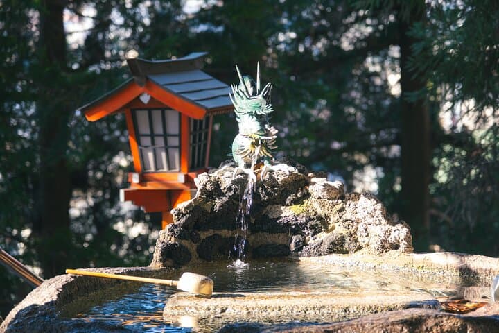 Mount Fuji Kawagoe and Hikawa Shrine Day Trip — photo 8