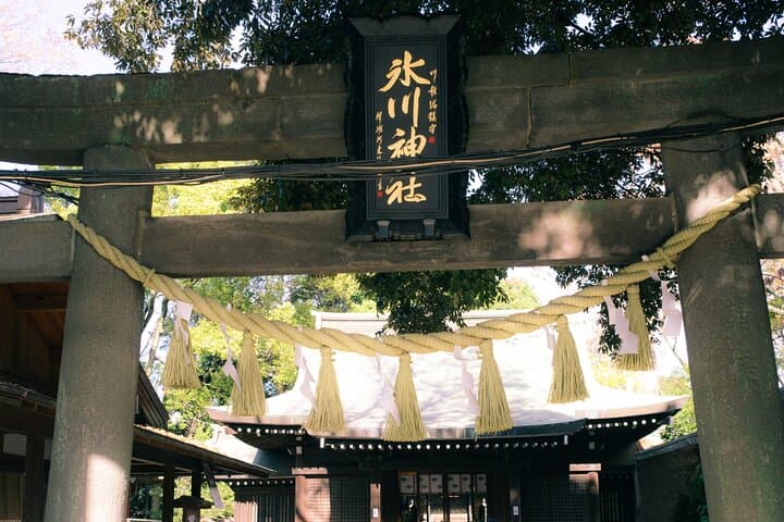 Mount Fuji Kawagoe and Hikawa Shrine Day Trip — photo 19