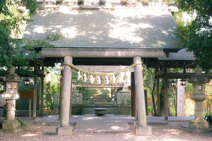 Mount Fuji Kawagoe and Hikawa Shrine Day Trip — photo 20