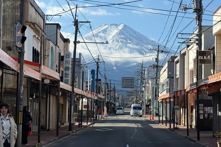 Mount Fuji Kawagoe and Hikawa Shrine Day Trip — photo 9