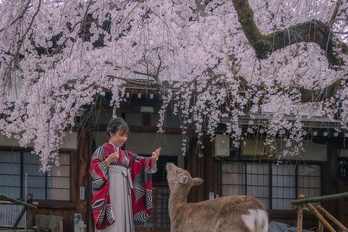 Exclusive Osaka and Nara Customised Private One Day Tour — photo 3