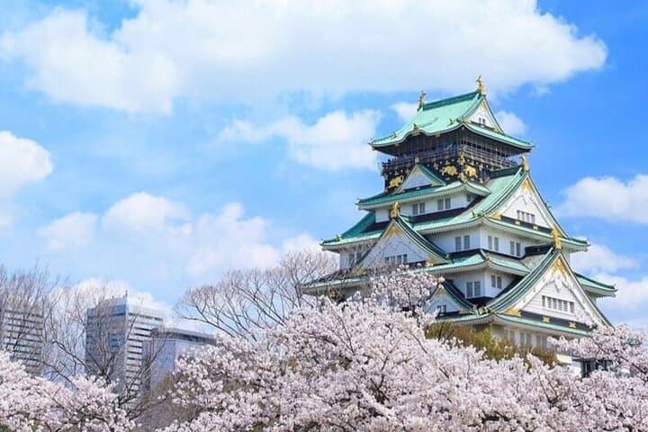 Exclusive Osaka and Nara Customised Private One Day Tour — photo 4