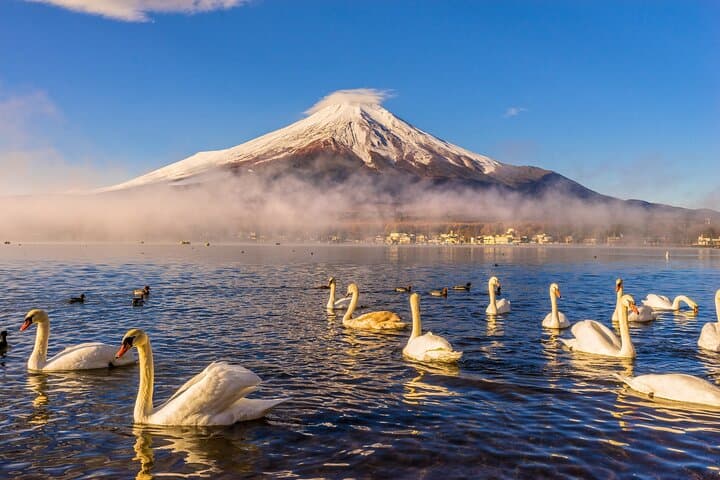 Discover Mt. Fuji area & Lake Kawaguchiko Sightseeing Day Tour — photo 15