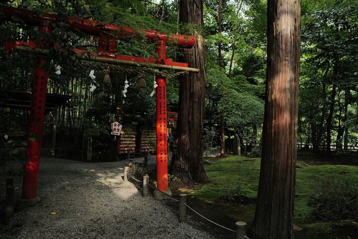 Kyoto Top Highlights 1 Day Bus Tour with Geisha Show Included — photo 7