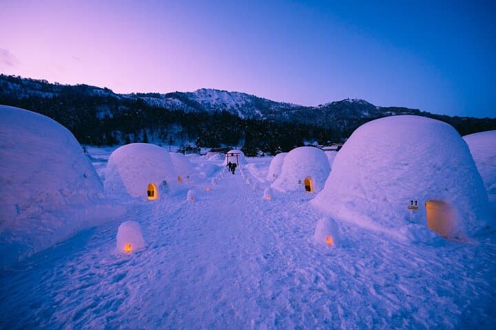 Nagano Snow Monkey 1 Day Tour with Beef Sukiyaki Lunch from Tokyo — photo 13
