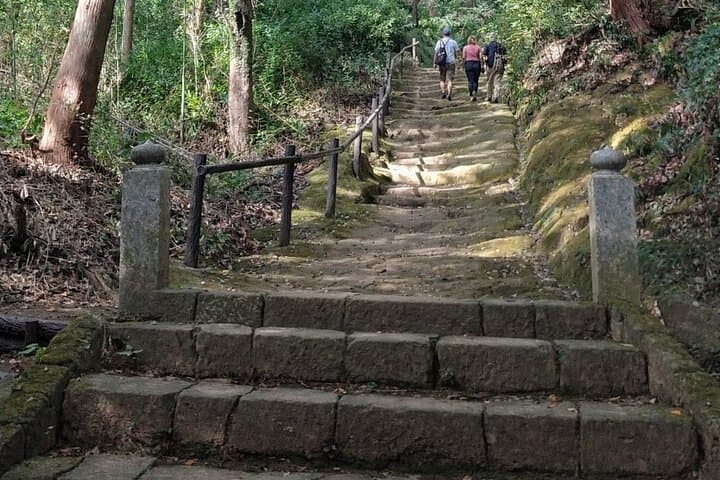 Sacred Mountain Oyama Walking Tour Culture and Nature — photo 13