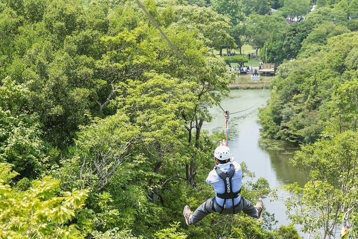Nijigen no Mori Day Trip from Osaka with Ticket and Lunch Coupon — photo 11