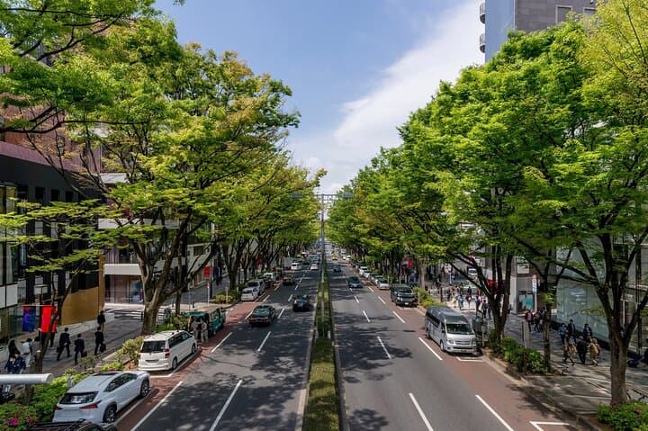 Luxury Private Shopping Tour in Tokyo with VIP Concierge Services — photo 3