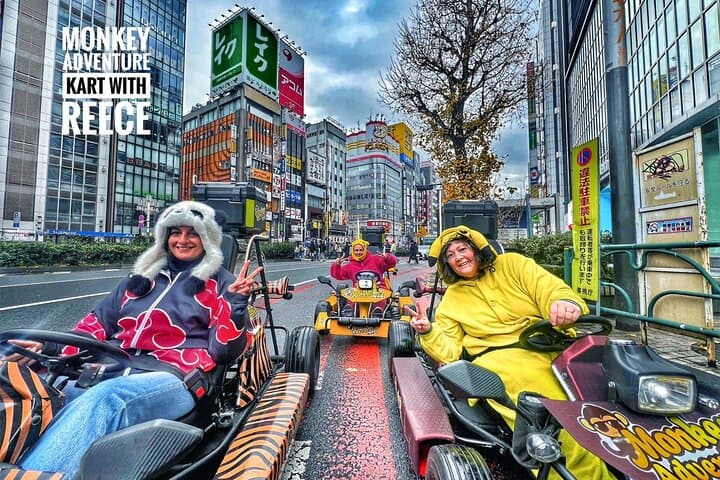 Tokyo Go-Kart Tour Shibuya-Harajuku-Shinjuku (*IDP Required) — photo 4