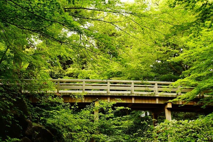 Nagoya: Exploring the Beauty of Tokugawa-en Garden — photo 6