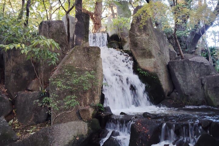 Nagoya: Exploring the Beauty of Tokugawa-en Garden — photo 8