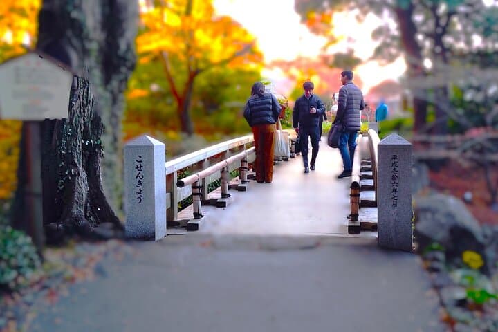 Nagoya: Exploring the Beauty of Tokugawa-en Garden — photo 3