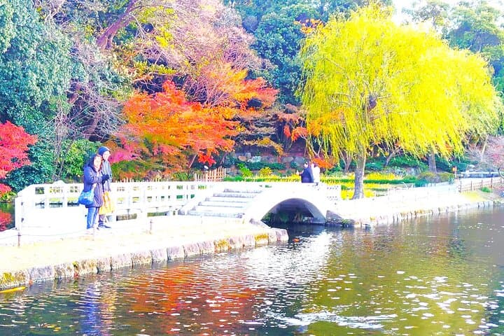 Nagoya: Exploring the Beauty of Tokugawa-en Garden — photo 4