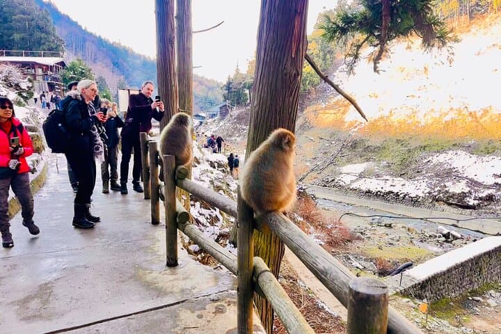 VIP Snow Monkeys Park Customized Private One Day Tour — photo 3