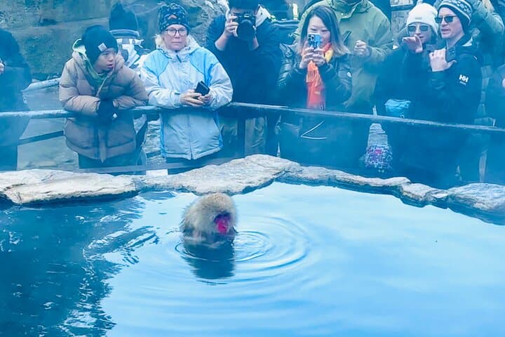 VIP Snow Monkeys Park Customized Private One Day Tour — photo 4