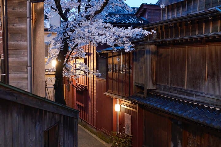 Walking Tour in the Geiko Districts — photo 7