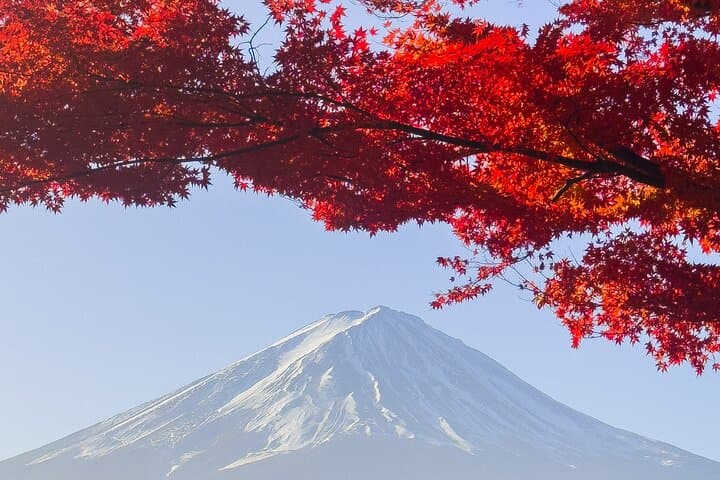 Inaka Excursions | Escape from Tokyo! — photo 1